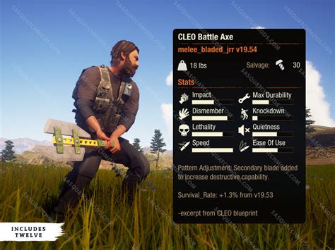 cleo state of decay|state of decay pc.